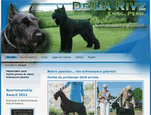 Tablet Screenshot of delarive.ca